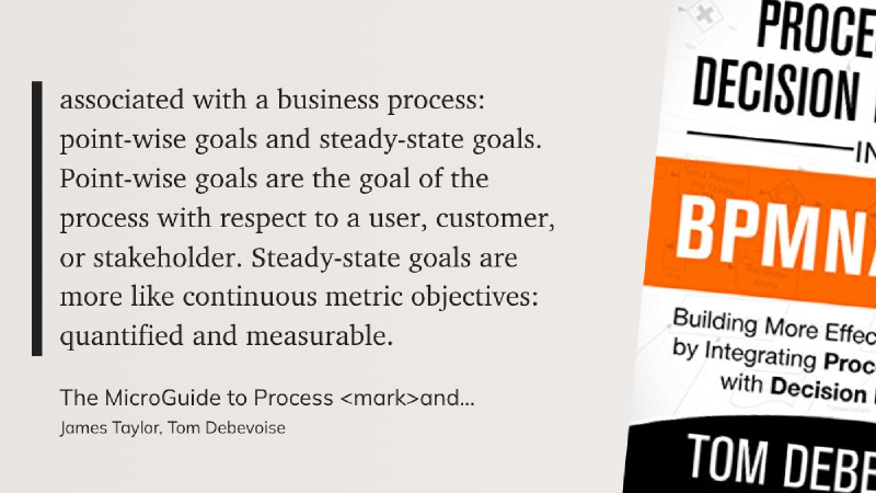 Quote from The MicroGuide to Process and Decision Modeling